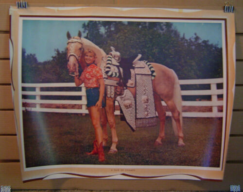 Vintage Cowgirl mit Pferd ein Paar Champs Poster 22 Zoll x 29 Minirock mit Stiefeln - Bild 1 von 4