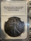 1 Oz  American  Silver Eagle 2004 Good Date Encapsulated