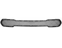Gitter Grill StoßStange Vorne Mitte BMW X1 E84 2010-2013