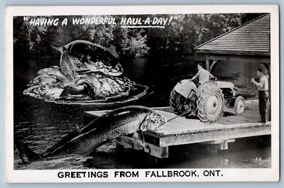 c1940s Exaggerated Fish Fishing Fallbrook Ontario Canada RPPC Photo Postcard