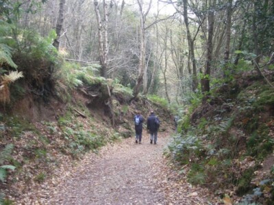 Foto 6x4 Ein weiterer Sonntag Nachmittagsspaziergang höher Burwardsley Unser kleiner Gro c2009