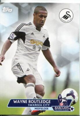 Premier Gold Fußball 13/14 Basiskarte #83 Wayne Routledge