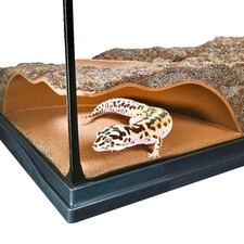 Reptile Corner Underground Cave Natural Curve Viewing Hide  Hognose Snake, C...