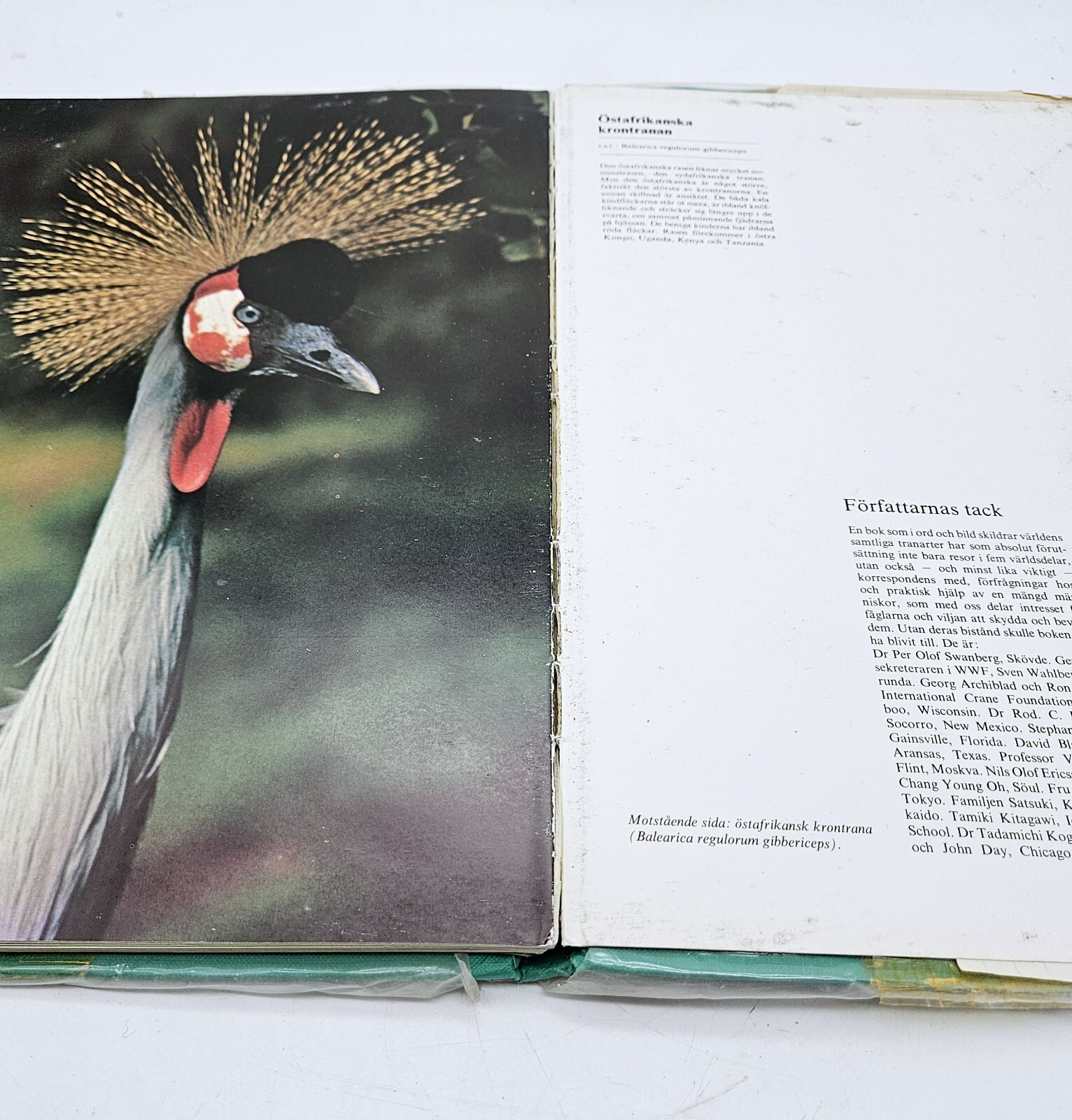 Tranor Cranes by Britt Karlsson Bird Book Sweden in Swedish