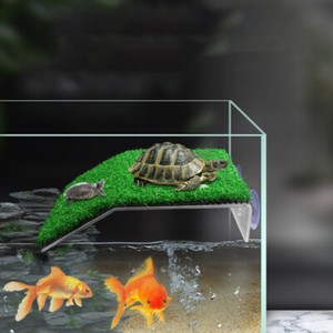 turtle fish tank