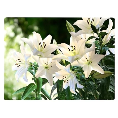 White Lily Floral Pattern Flower Love Kitchen Glass Cutting Board Decorative ...