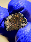 Hassi Khebi 001 C3 Meteorite 0.885g – Ung. Carbonaceous, W/Pre-Solar Grains — photo 9