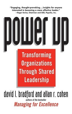 Power Up: Transforming Organizations Through Shared Leadership (Studies in C...