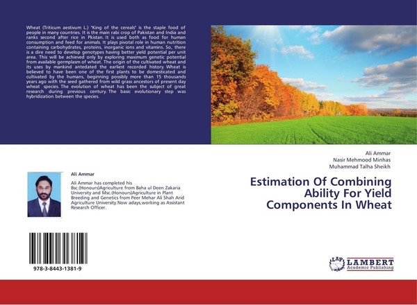 Estimation Of Combining Ability For Yield Components In Wheat Ali Ammar-image