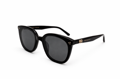 Gentle Monster Lady Lang 01 Sunglasses Black With Case New | eBay