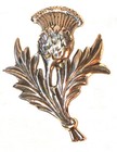 Picture 17 of 20