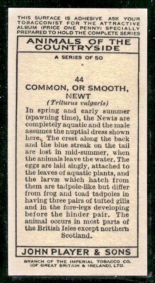 tobacco christmas tree 1969 Ad Lark Gas Trap Filter Cigarette Christmas Tree