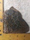 Rough Slab Dinosaur Gem Bone 85g. 1/4" Thick Lapidary Cabbing Solid Piece #BB-1 — photo 4