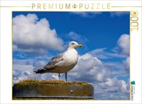 Calvendo Puzzle SilbermöWe 1000 Teile Puzzle Quer | 1000 Teile Lege-GrößE 64X48C