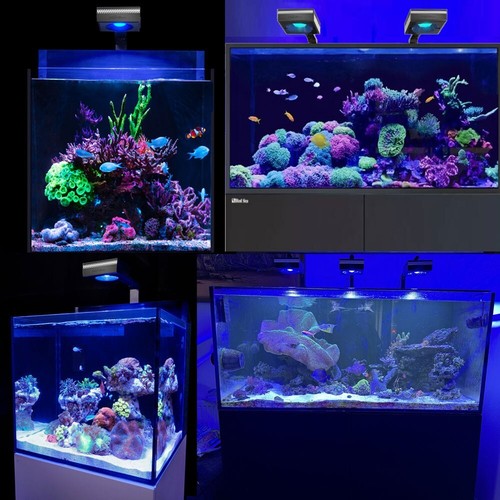 PopBloom Marine Aquarium Light LED RL90 WiFi Lamp for Saltwater Reef Coral Tank - Picture 11 of 17
