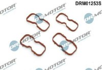 Original Dr.Motor Automotive Dichtungssatz AnsaugkrüMmer DRM01253S FüR Nissan