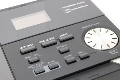 Roland Sonic Cell Resoldered 128-Voice Expandable Synth Module