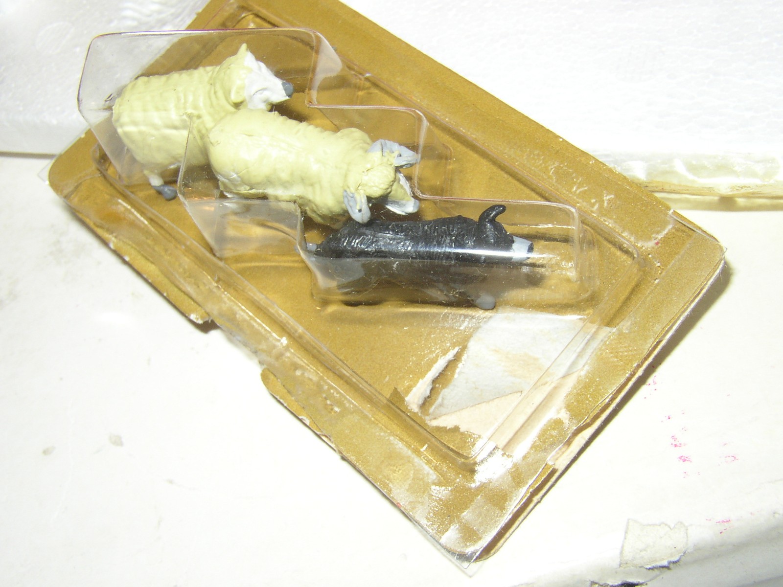Picture 6 of 6