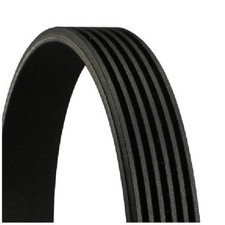 Keilrippenriemen 24380869 für VW Vento 1H2