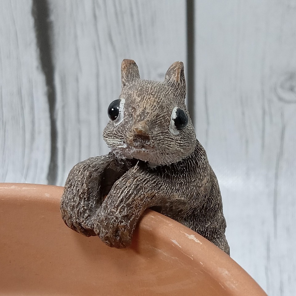 Vintage Collectible Land and Sea Nature Series Small Squirrel Pot Hanger eBay