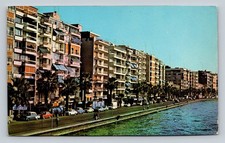 Postal vintage de pavo Kordon Boyu Izmir de Molay Color