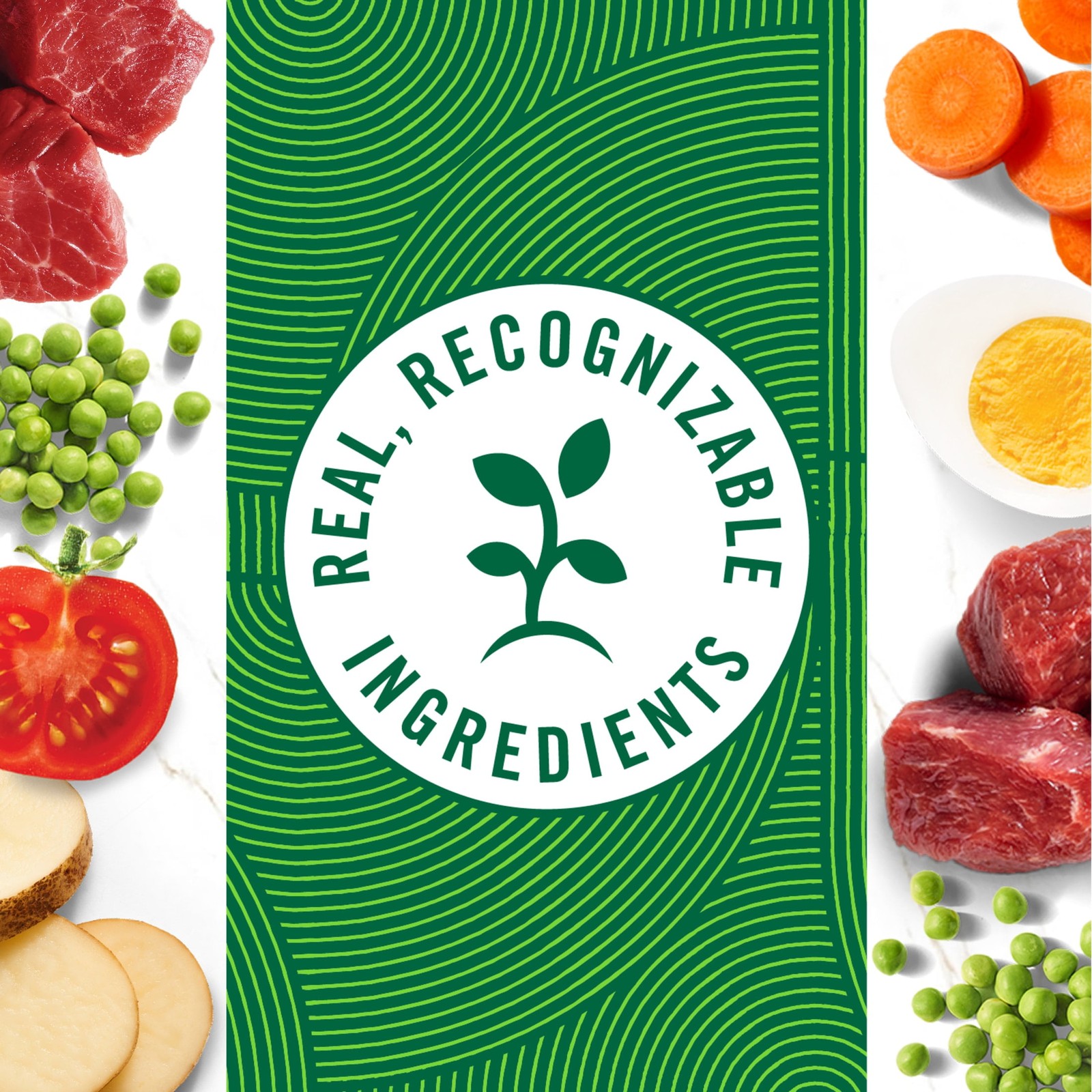 NEW TREND Nutro Natural Choice Cuts In Gravy Lamb Beef Variety Pack Wet Dog Food