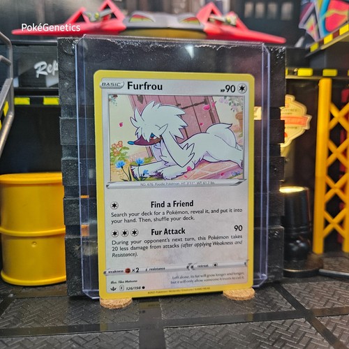 Furfrou Chilling Reign Pokémon TCG 126/198 Sword & Shield SWSH06 Common - Picture 3 of 6