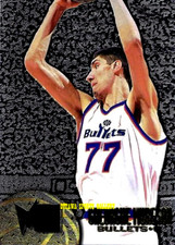 1995-96 FLEER METAL SILVER SPOTLIGHT GHEORGHE MURESAN WASHINGTON #117 (10V20)