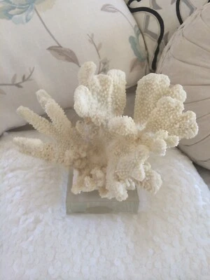 Hamptons Coastal Faux Coral Piece Decorative Accessories