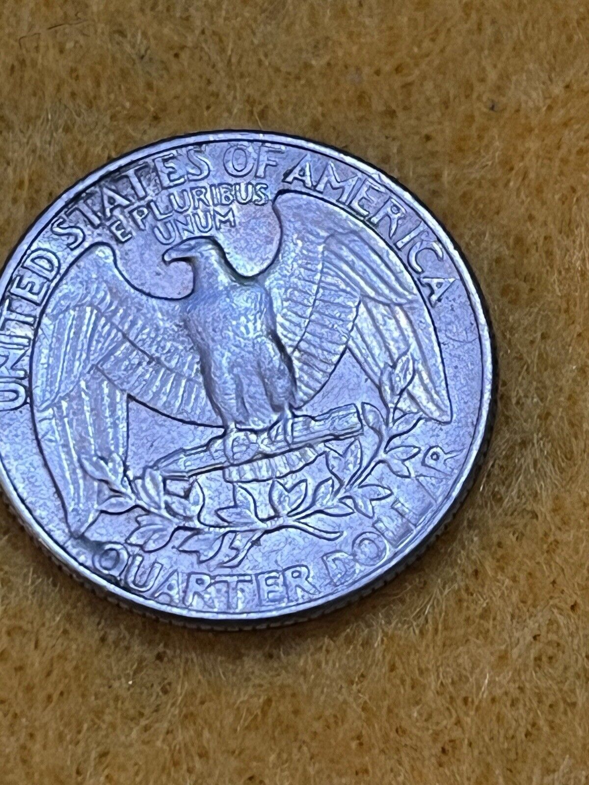 Picture 18 of 18