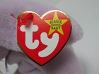 Bild 9 von 12