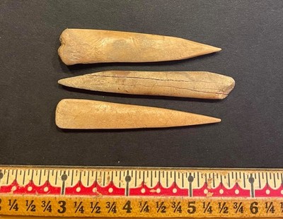 3 High Plains/South Dakota Mandan/Arikara  Bone Awls  lot 596