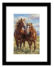 Horses