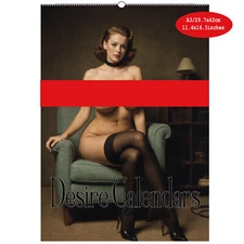 Pin up at home 2025 Collectible Art Pin-up