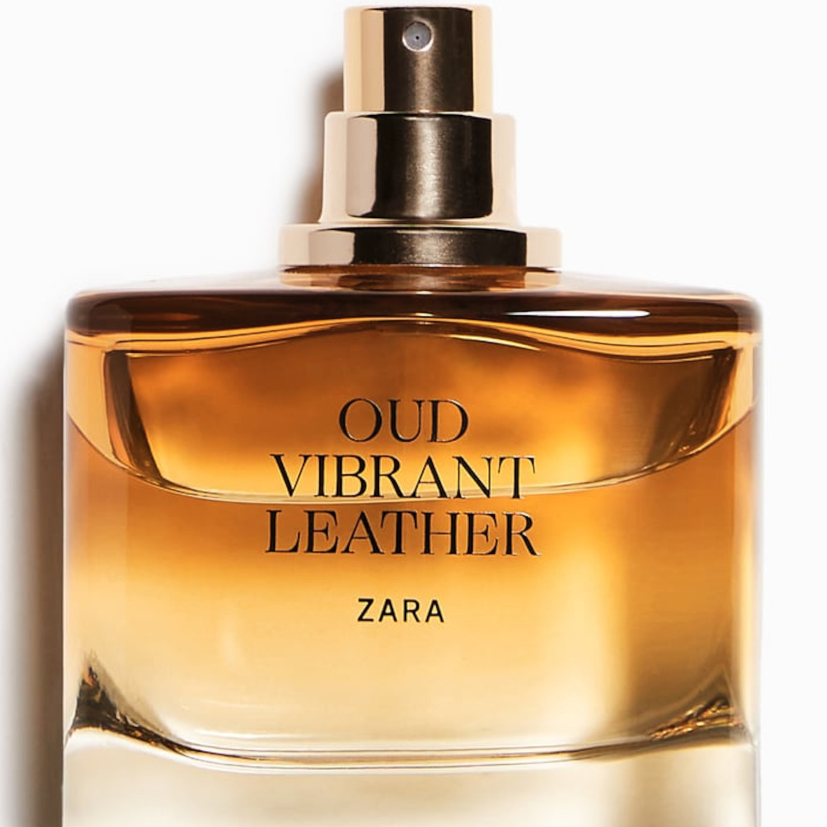 vibrant leather oud zara