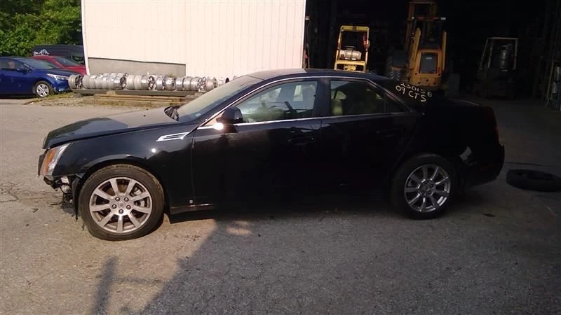 2009 Cadillac CTS Passenger Side REAR Inner Door Trim Panel — 第 2/4 张图片