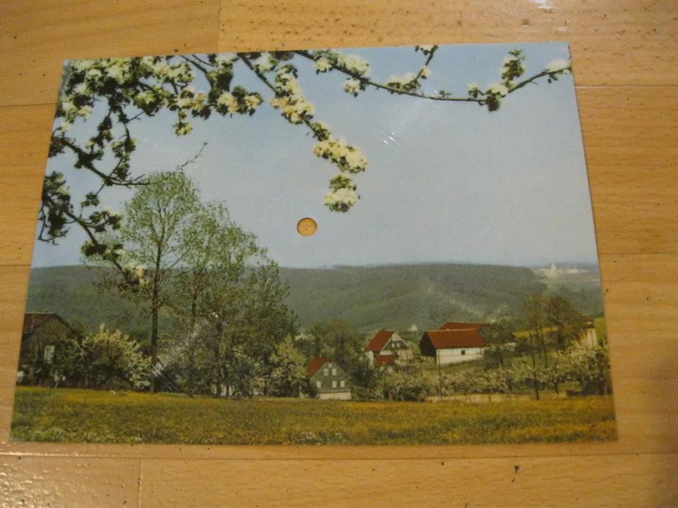 Flexi Disc Tonbildkarte Geschwister Caldarelli Dr Vugelbeerbaam 1/103-614 