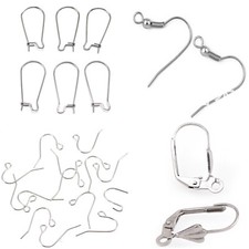 Craft DIY 316L Stainless Steel Earwire Ear Wire Earring Fish Hook Various Style