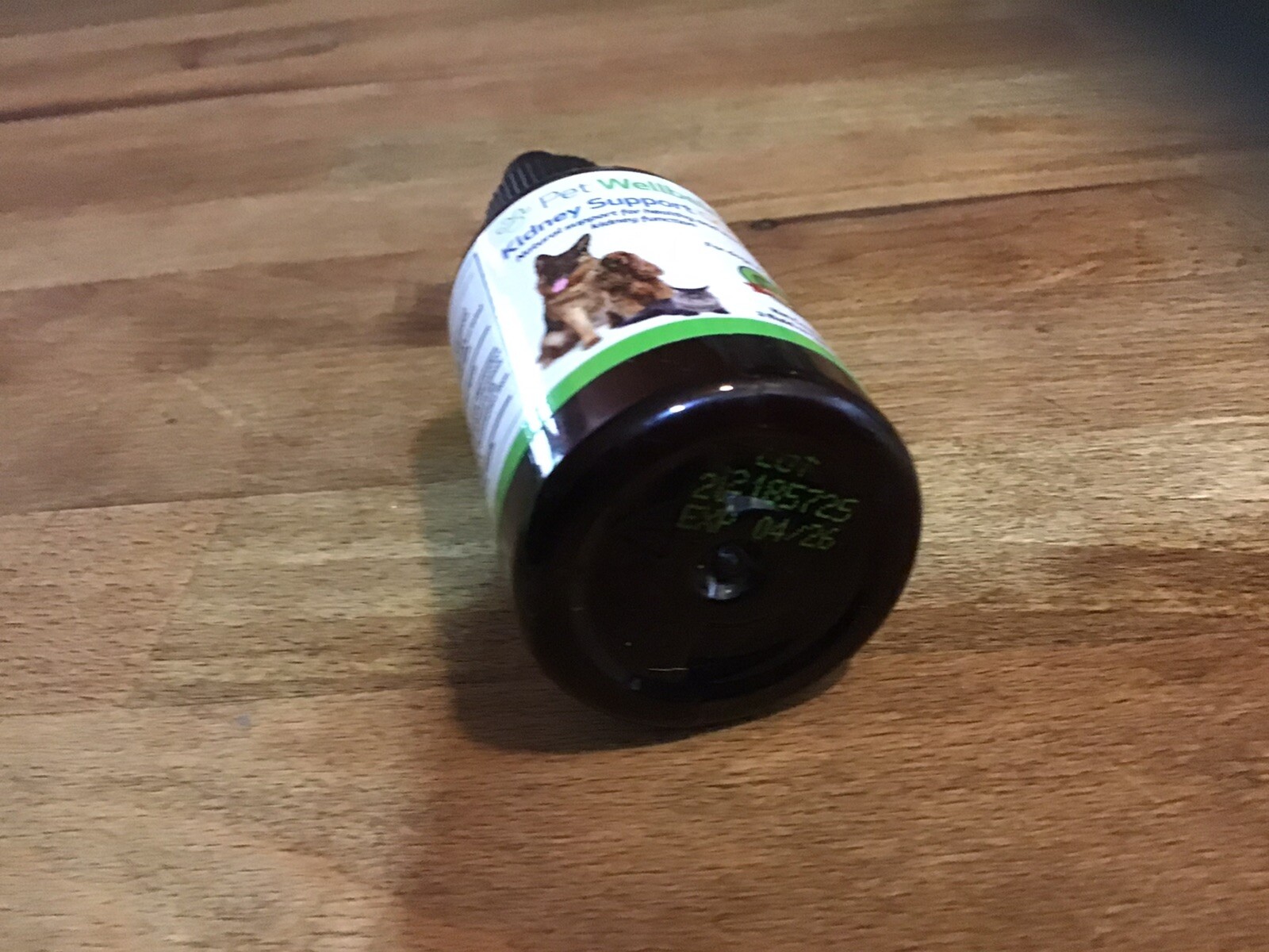 kidney support gold for dogs And Cats . eBay