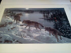 Jerry Gadamus Wolfs Signed and Numbered Moon Shadows Print