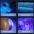Foto 9 di 9