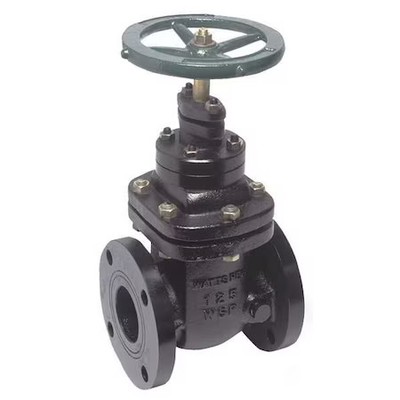Watts Nrs-Rw-Gate21/2'' Gate Valve, Class 200, 2-1/2 In., Flange