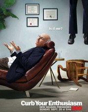 Curb Your Enthusiasm Poster TV H 11X17 Larry David Cheryl Hines Jeff Garlin Susi
