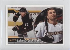2010-11 Panini Album Stickers Lubomir Visnovsky #162 t4m