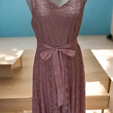 Blush Lace Sleeveless Satin Sash Waist Fit and Flare Knee Length Dress
