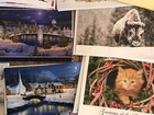 Lot of 60 Greeting Card Assortment with Matching Envelopes ~ NEW — photo 7
