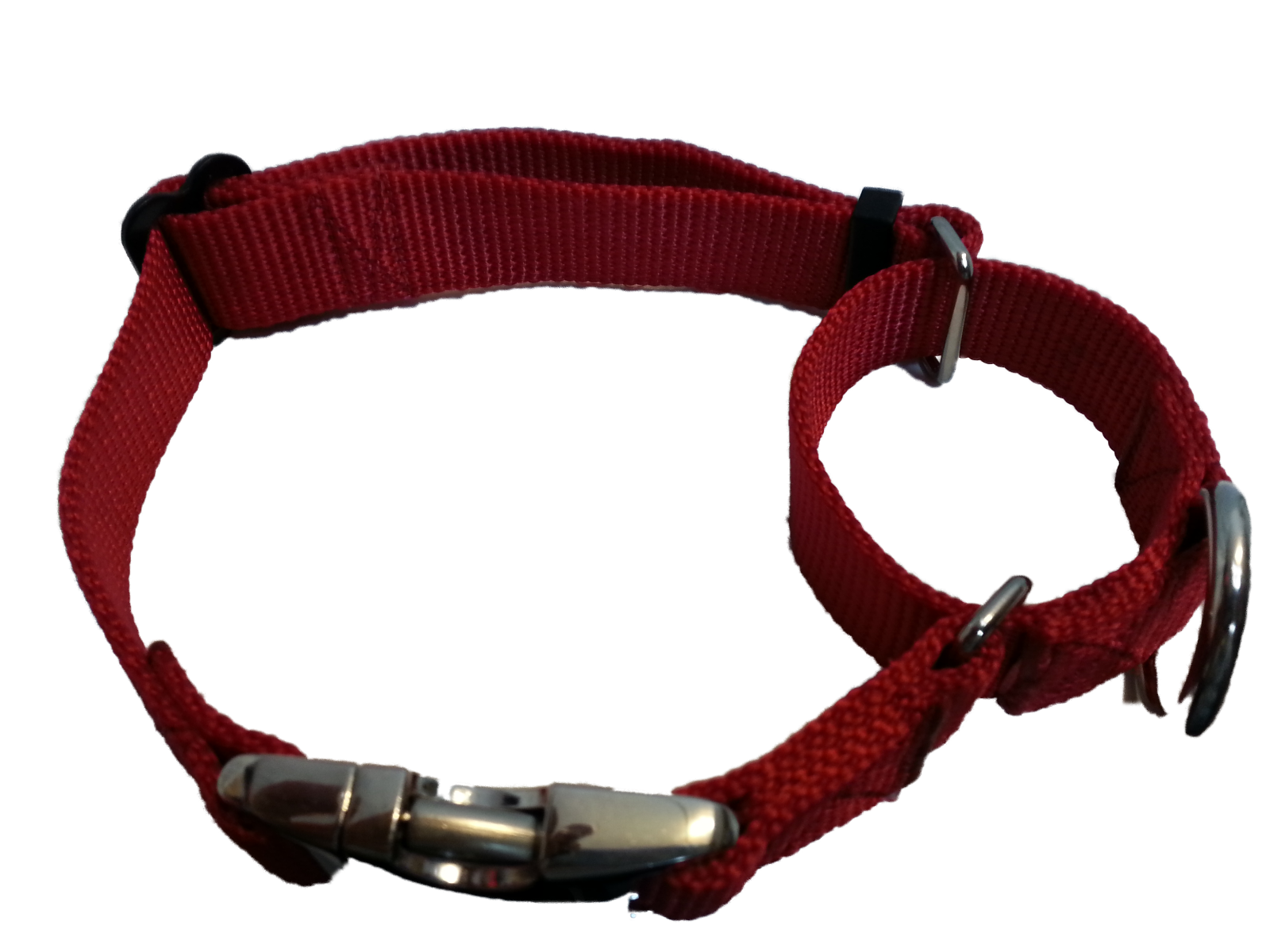 Martingale Dog Collar USA Made Tough (METAL BUCKLES) eBay