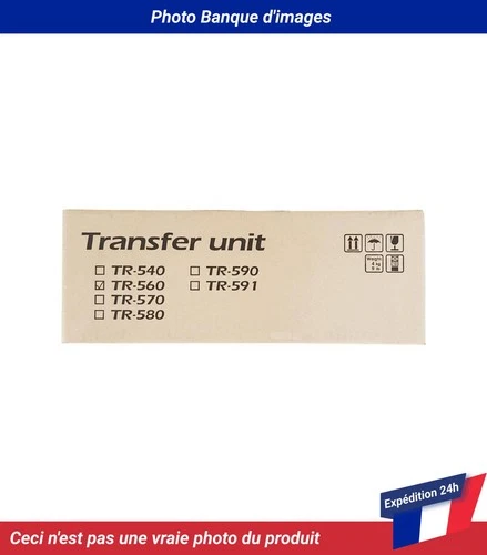TR-560 Kyocera Mita FS-C5200DN Courroie de Transfert