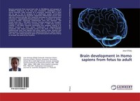 Brain Development In Homo Sapiens From Fetus To Adult Jose O'daly