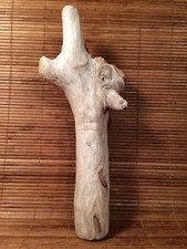 Beautiful 12" DRIFTWOOD Piece Art Terrarium Taxidermy Aquarium Beach Wood DECOR